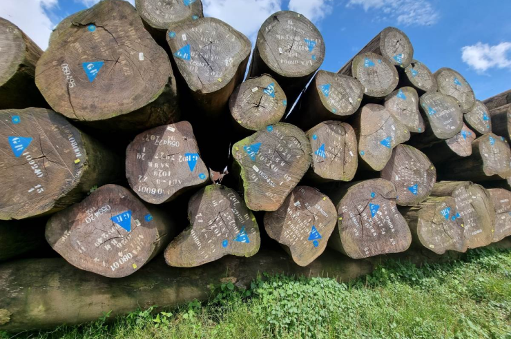 Logs